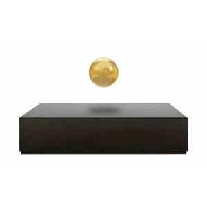 Flyte Buda Ball, Plate Black/Ball Gold