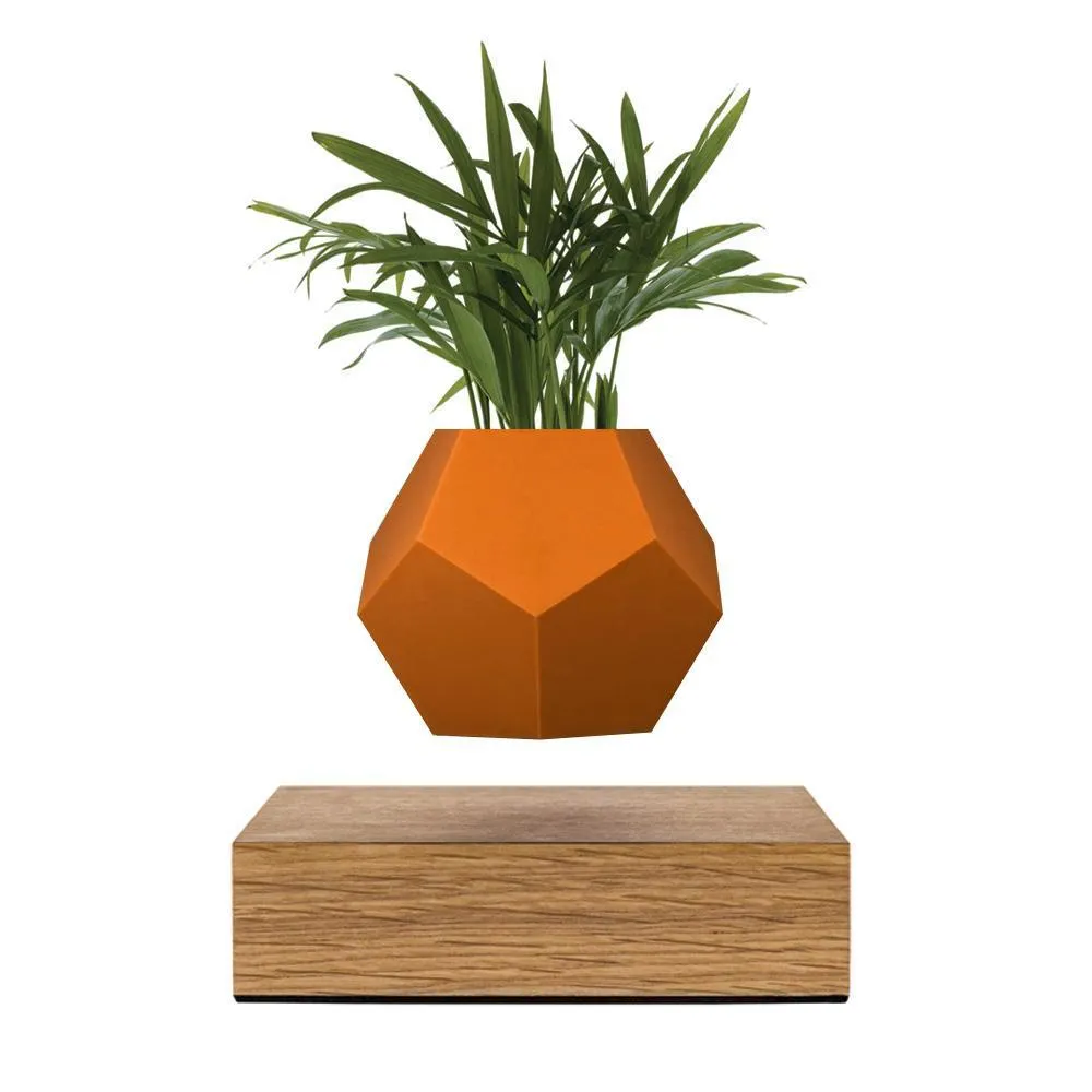 Flyte Lyfe Case, Terracotta