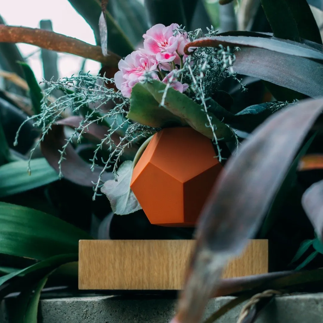 Flyte Lyfe Case, Terracotta