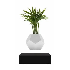 Flyte Lyfe Plant, Black