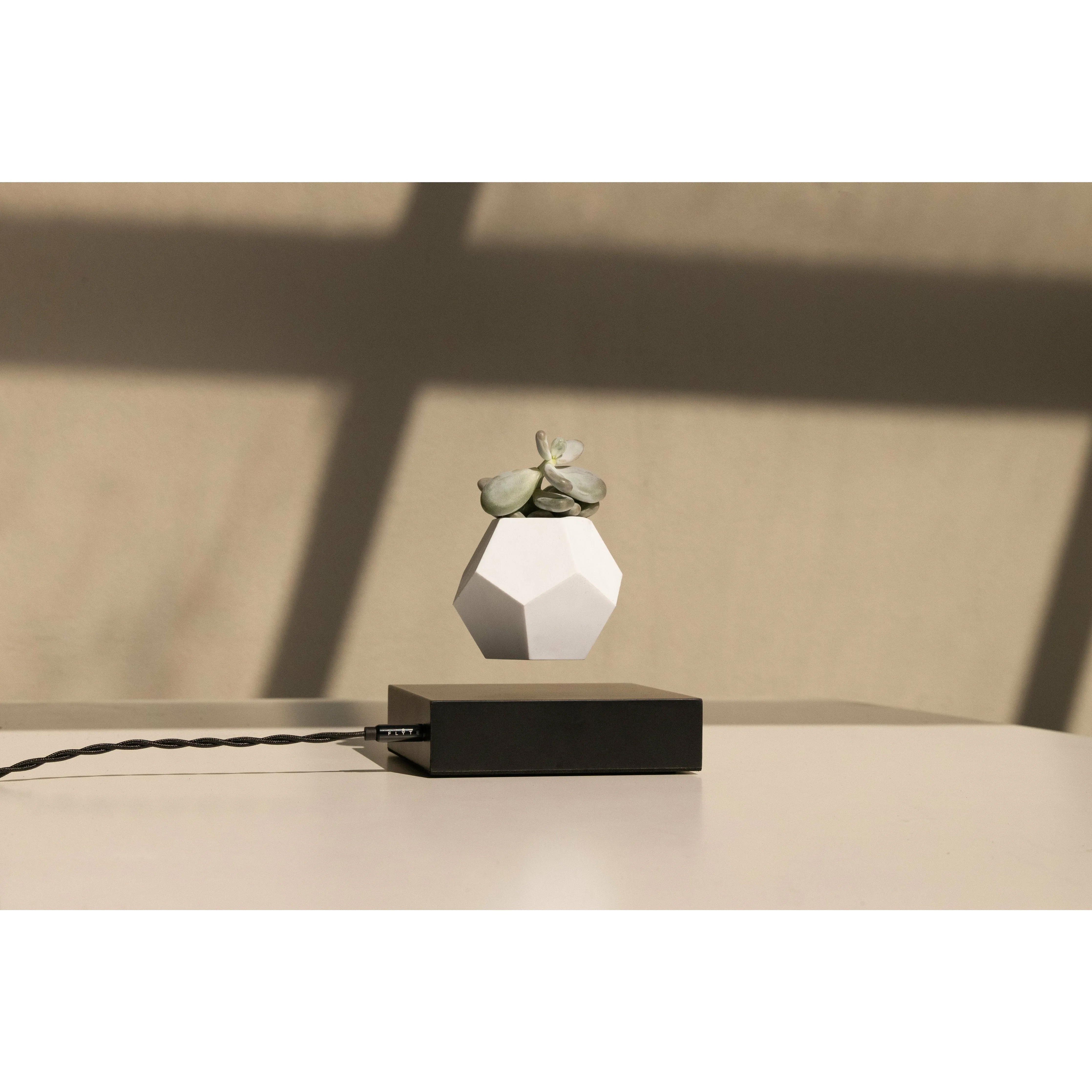 Flyte Lyfe Plant, Black