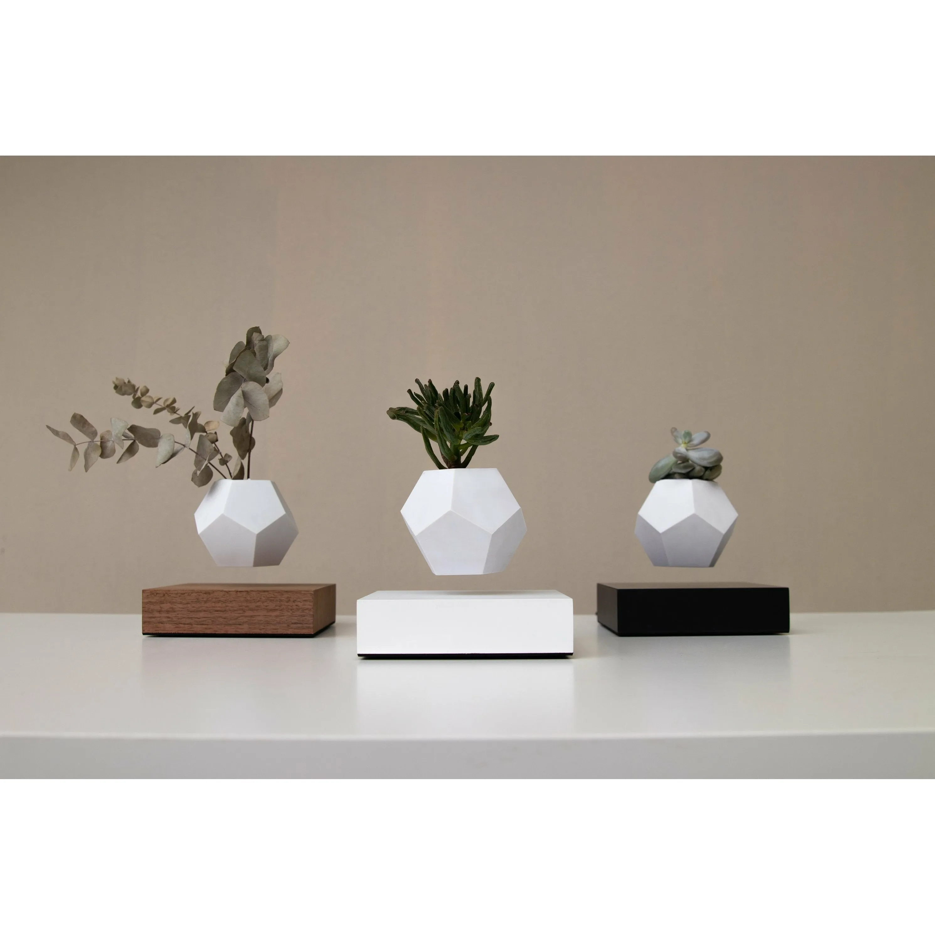 Flyte Lyfe Plant, Walnut