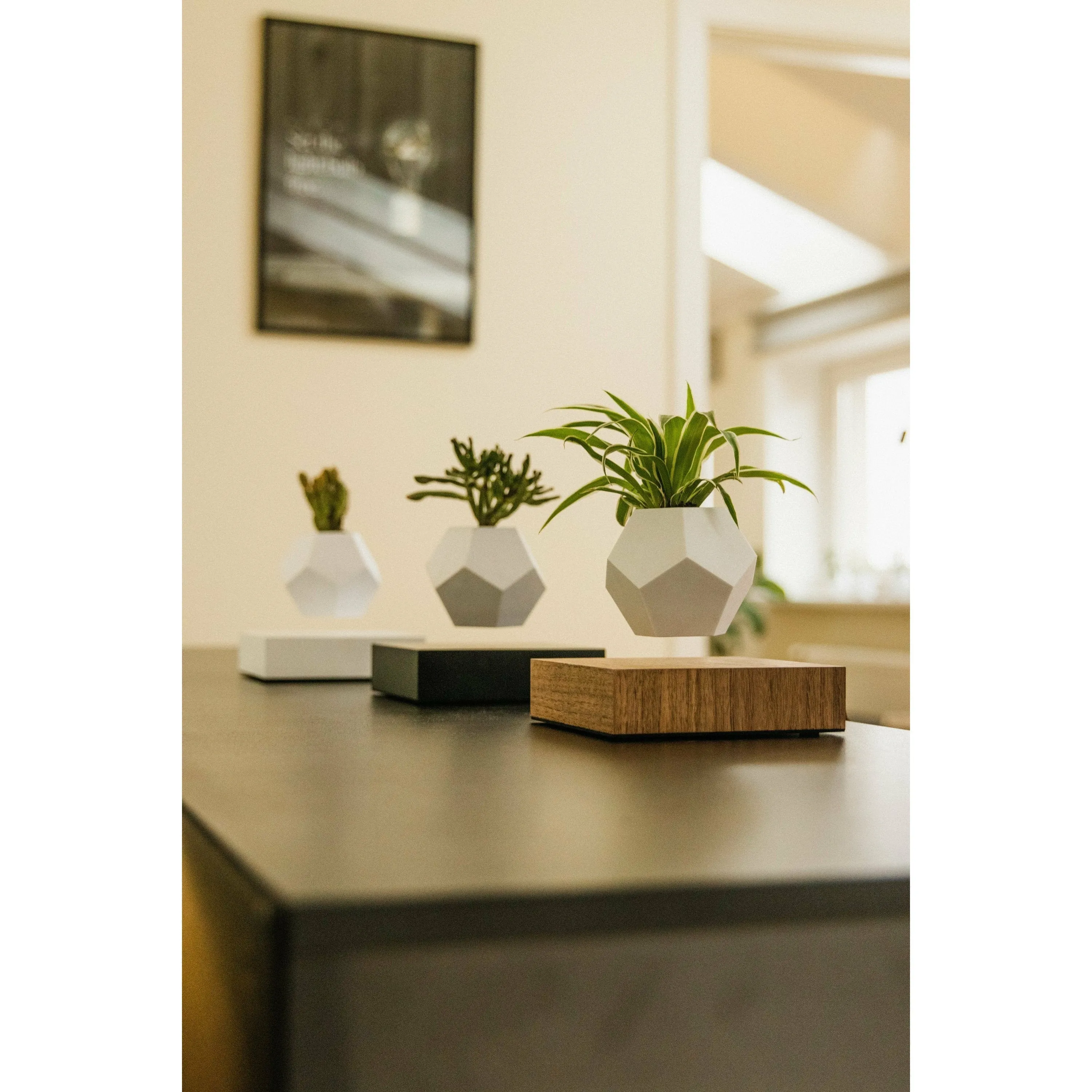 Flyte Lyfe Plant, Walnut