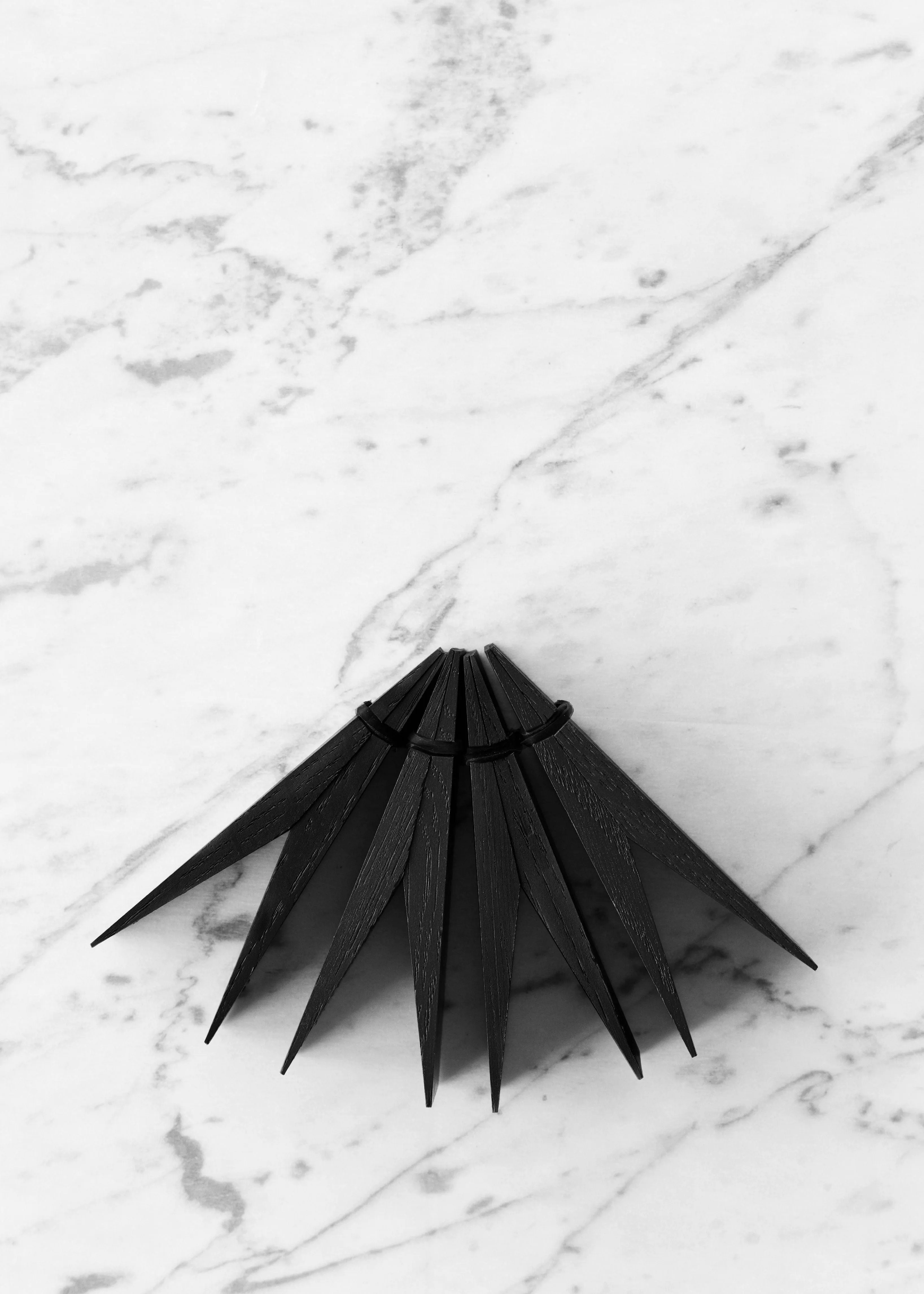 Moebe Wooden Clips, Black