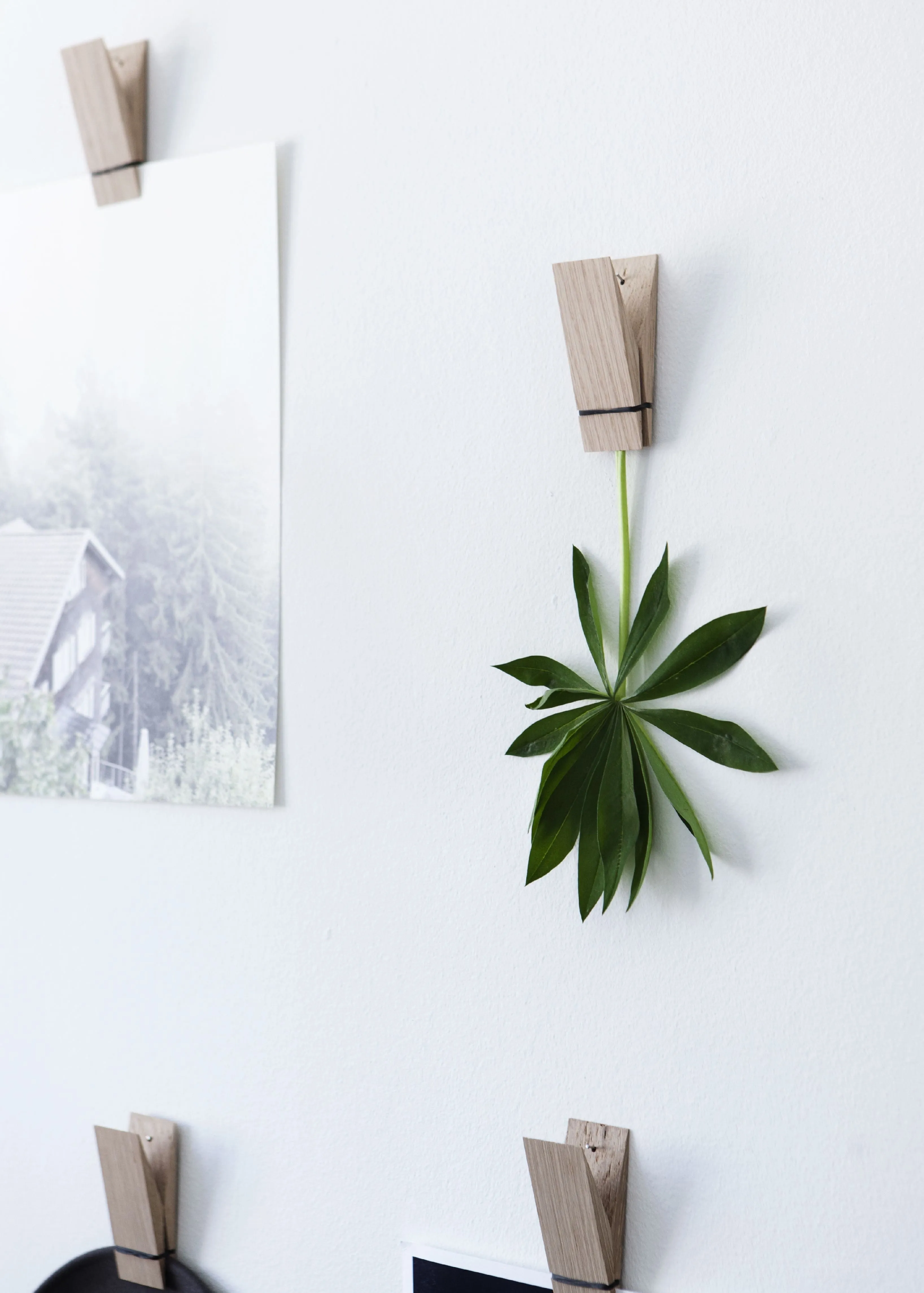 Moebe Wooden Clips, Oak