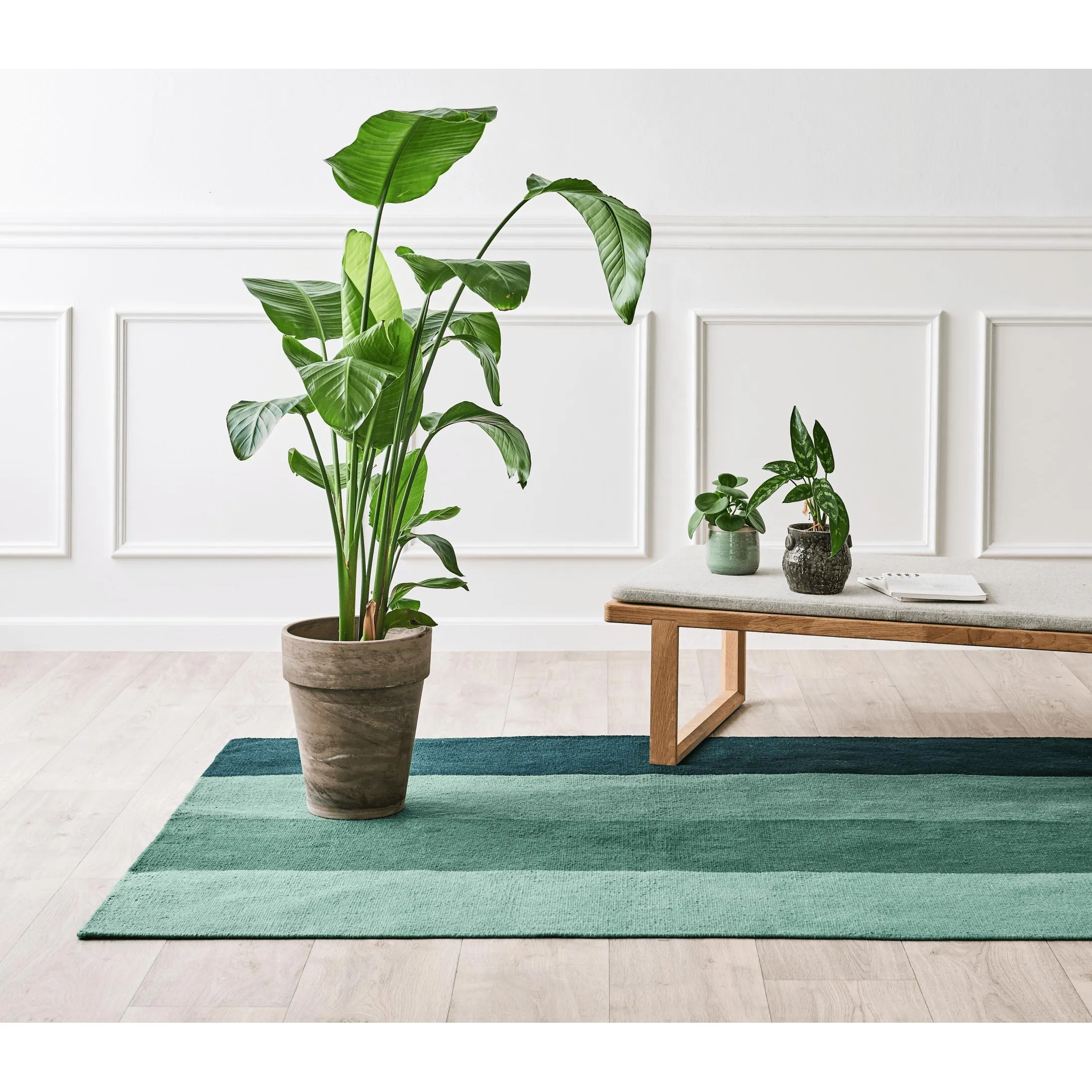 Rug Solid Pet Carpet Gradient Forest, 75 X 200 Cm