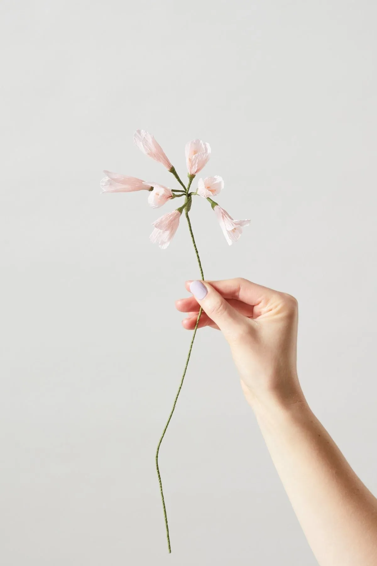 Studio About Paper Flower African Lily, Rose