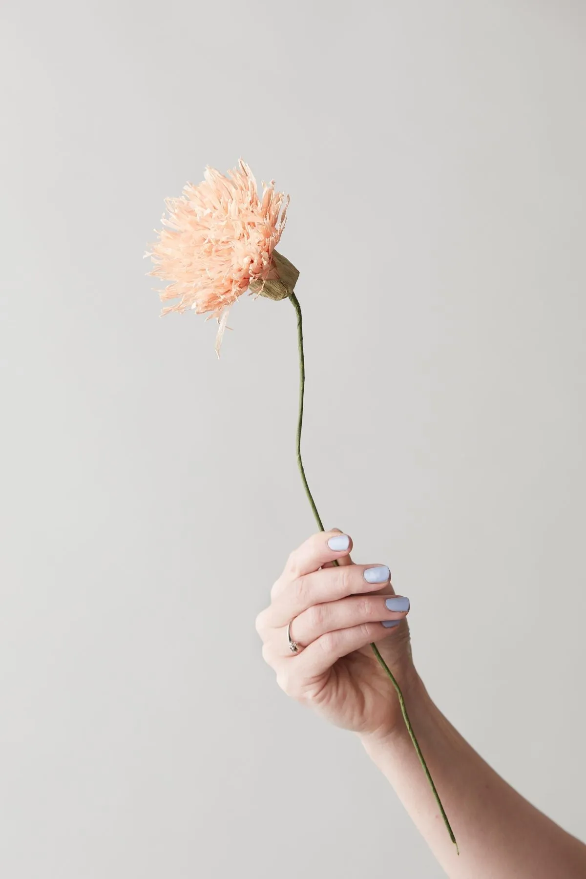 Studio About Paper Flower Chrysanthemum, Nude