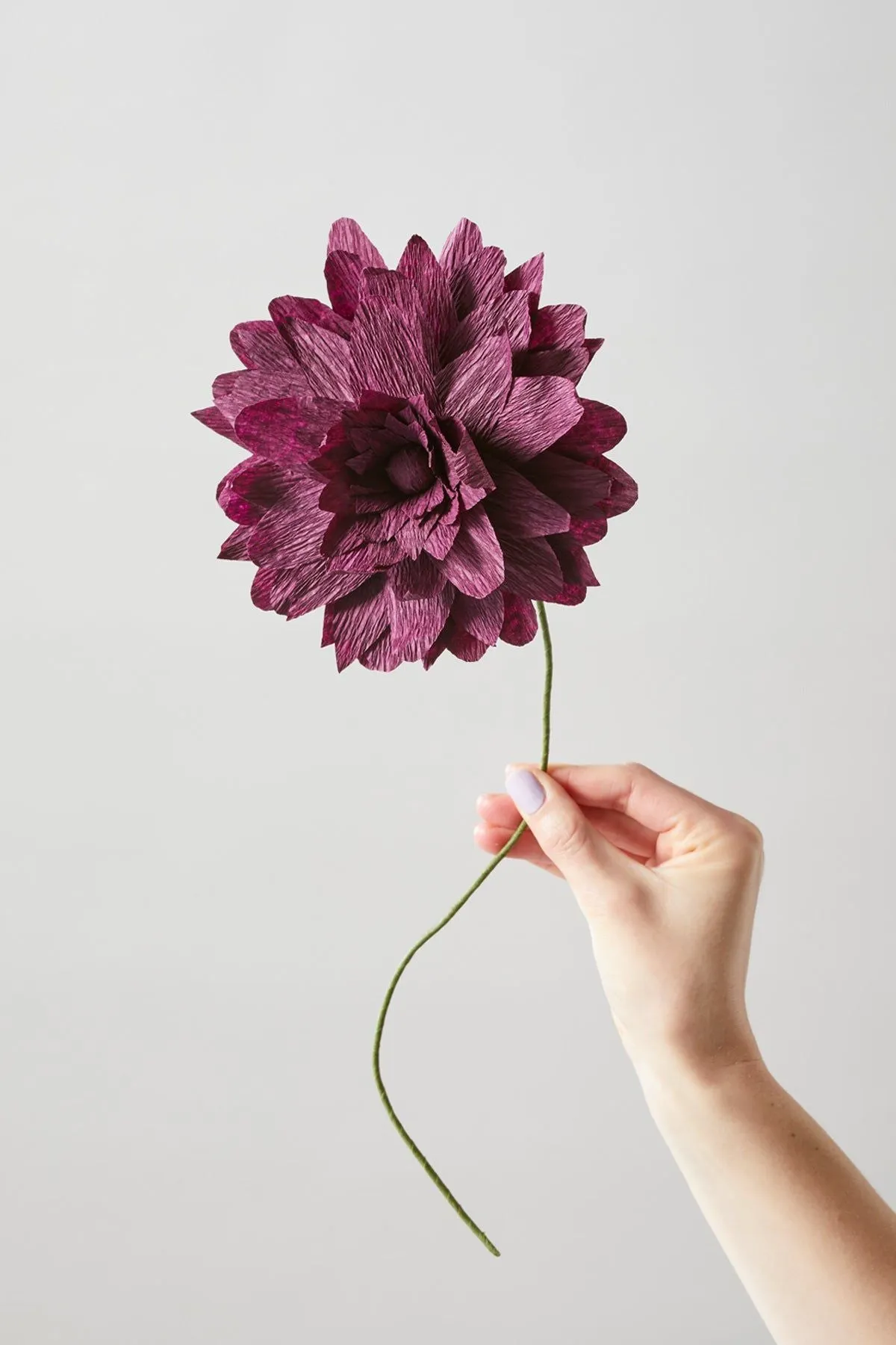 Studio About Paper Flower Grand Dahlia, Aubergine