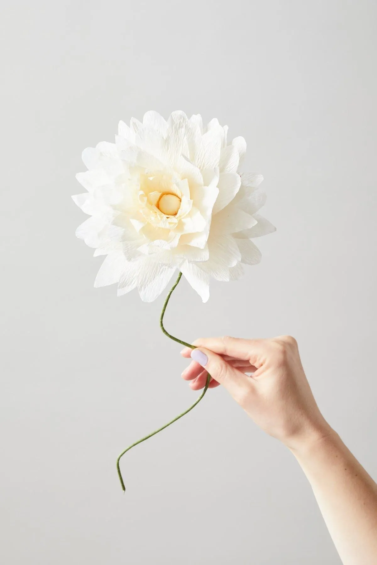Studio About Paper Flower Grand Dahlia, Sand