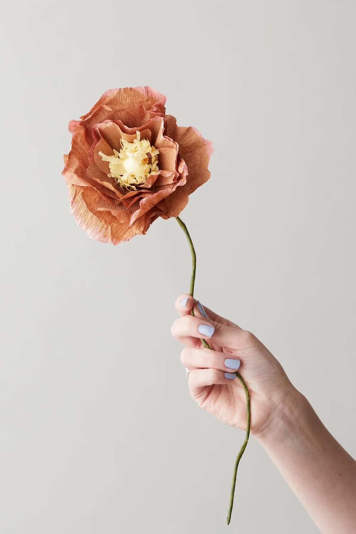 Studio About Paper Flower Ice Poppy, Dark Ochre