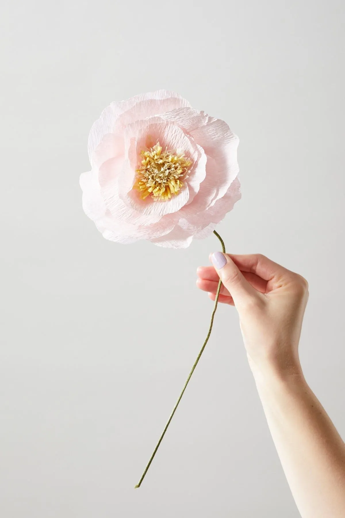 Studio About Paper Flower Ice Poppy, Rose