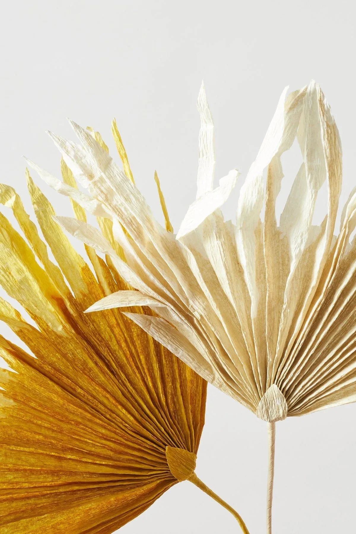 Studio About Paper Flower Palm, Sand