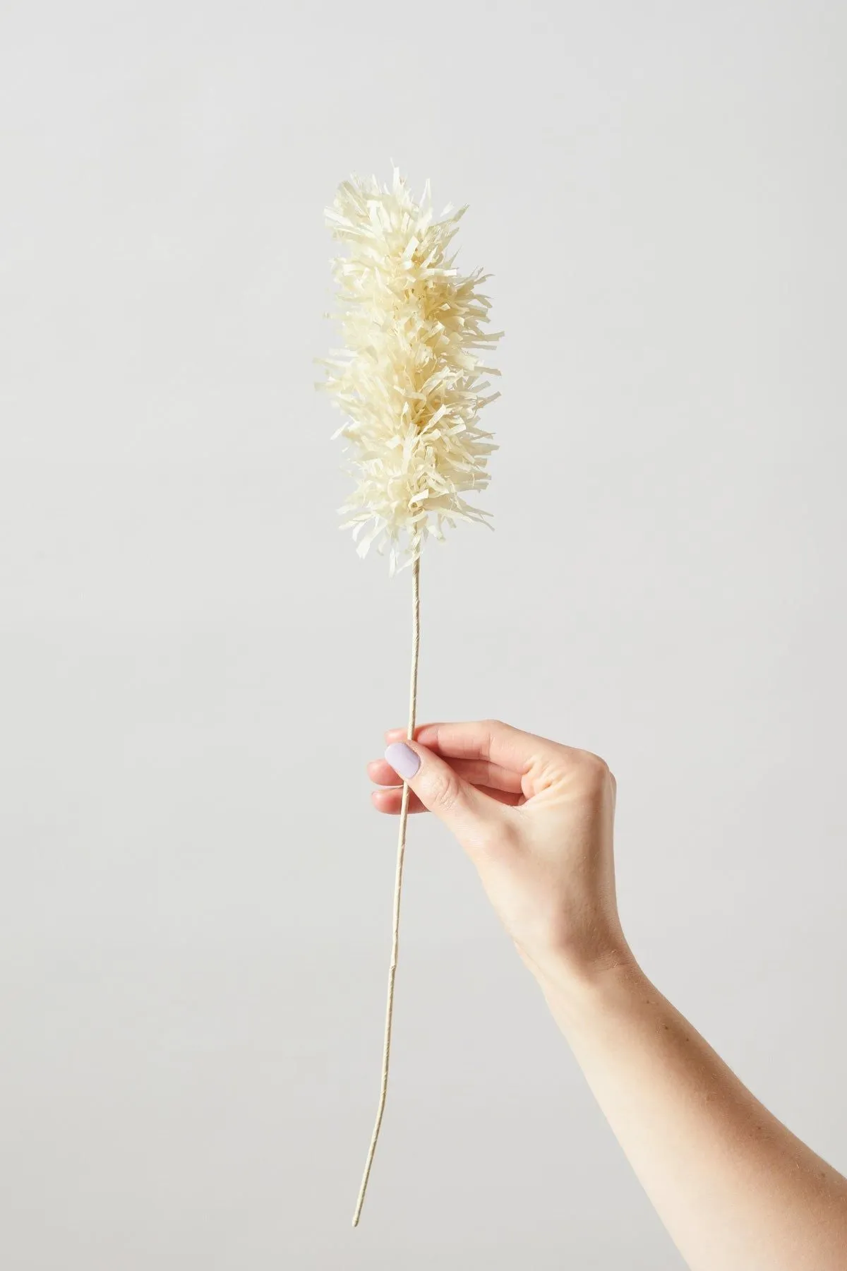 Studio About Paper Flower Pampas, Sand